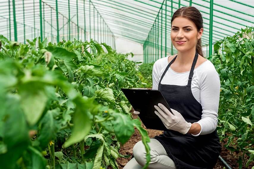 agriculture-processing